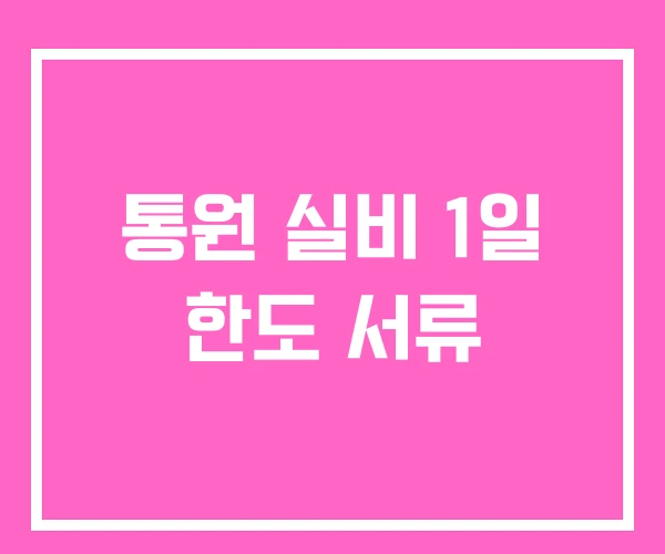 통원 실비 1일 한도 서류