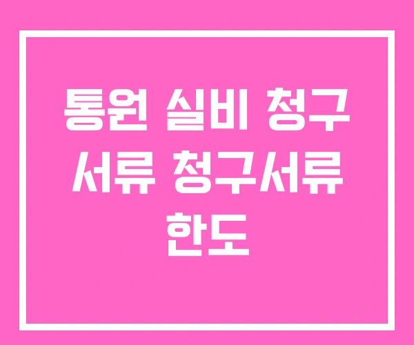 통원 실비 청구 서류 청구서류 한도