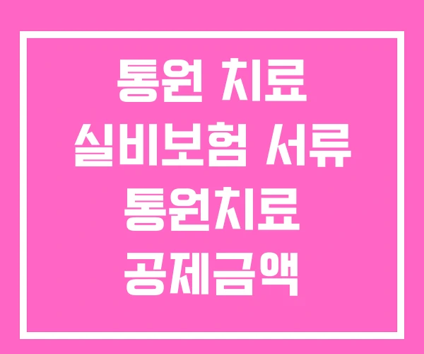 통원 치료 실비보험 서류 통원치료 공제금액 통원 치료 실비보험 서류 통원치료 공제금액