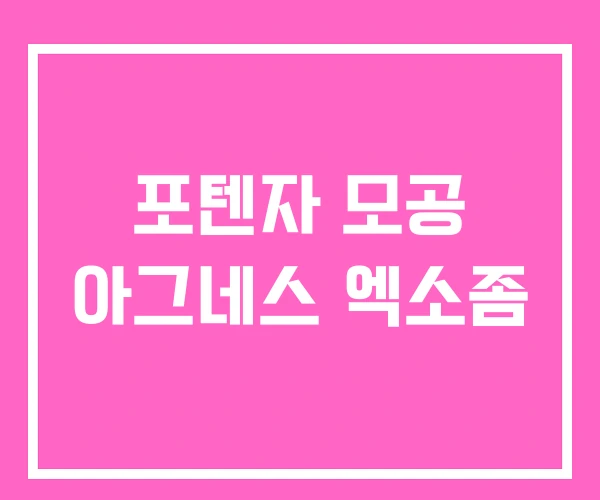 포텐자 모공 아그네스 엑소좀 포텐자 모공 아그네스 엑소좀