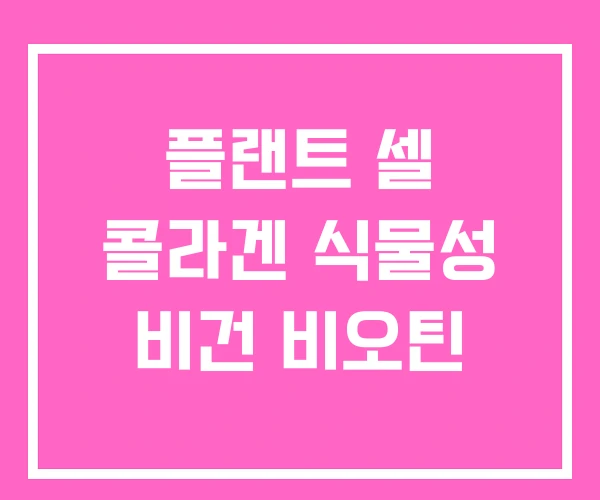 플랜트 셀 콜라겐 식물성 비건 비오틴