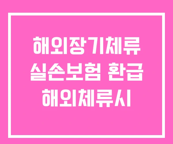 해외장기체류 실손보험 환급 해외체류시 해외장기체류 실손보험 환급 해외체류시