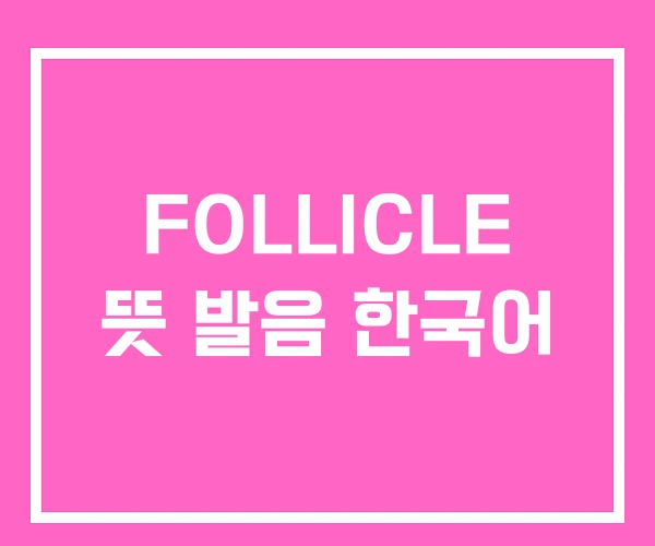 FOLLICLE 뜻 발음 한국어 FOLLICLE 뜻 발음 한국어