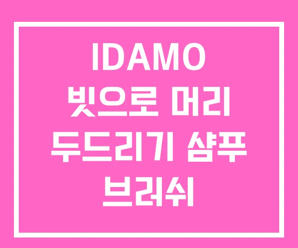 IDAMO 빗으로 머리 두드리기 샴푸 브러쉬