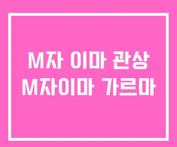 M자 이마 관상 M자이마 가르마 M자 이마 관상 M자이마 가르마