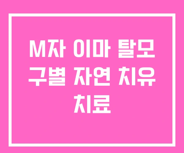 M자 이마 탈모 구별 자연 치유 치료