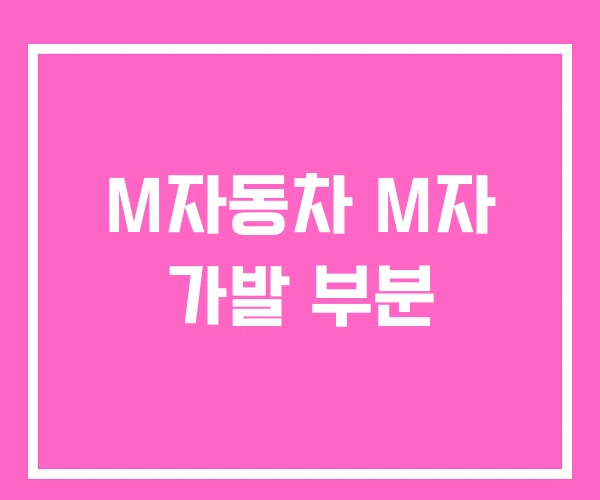 M자동차 M자 가발 부분 M자동차 M자 가발 부분