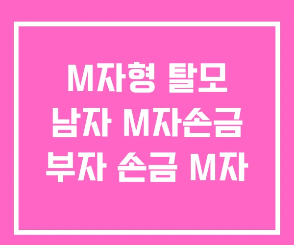 M자형 탈모 남자 M자손금 부자 손금 M자