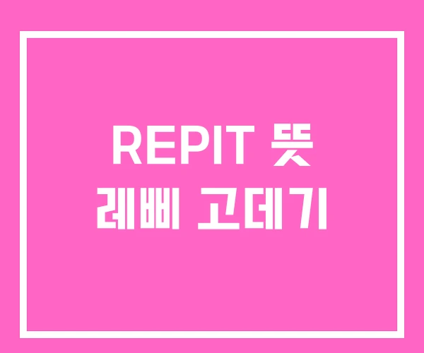 REPIT 뜻 레삐 고데기
