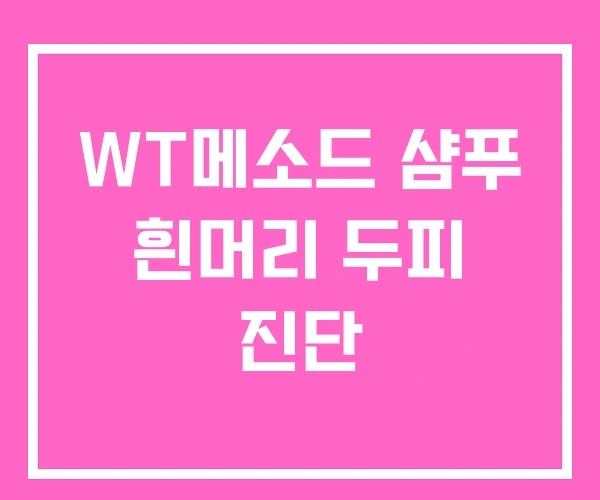 WT메소드 샴푸 흰머리 두피 진단 WT메소드 샴푸 흰머리 두피 진단