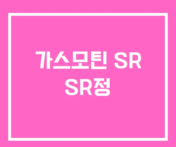 가스모틴 SR SR정 가스모틴 SR SR정