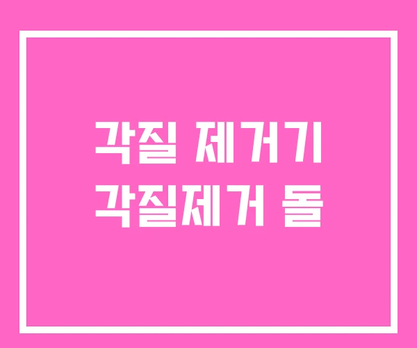 각질 제거기 각질제거 돌