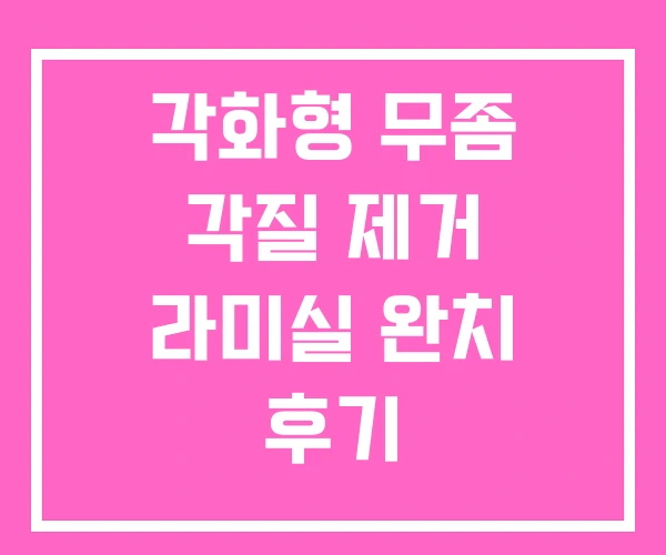 각화형 무좀 각질 제거 라미실 완치 후기