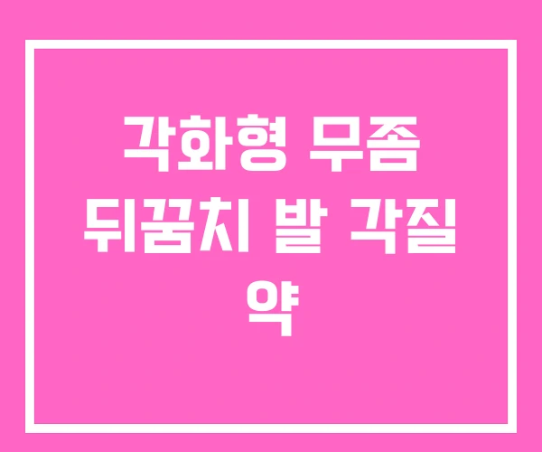 각화형 무좀 뒤꿈치 발 각질 약 각화형 무좀 뒤꿈치 발 각질 약