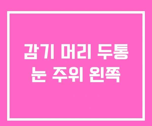 감기 머리 두통 눈 주위 왼쪽 감기 머리 두통 눈 주위 왼쪽