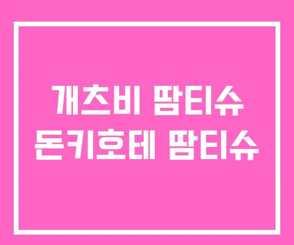 개츠비 땀티슈 돈키호테 땀티슈