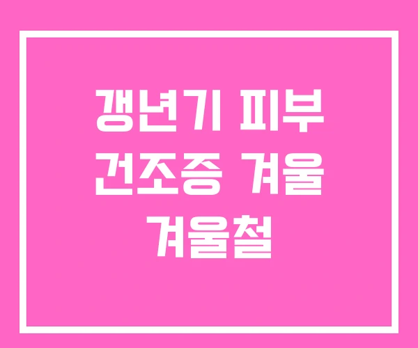 갱년기 피부 건조증 겨울 겨울철 갱년기 피부 건조증 겨울 겨울철