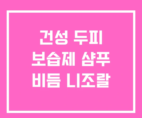 건성 두피 보습제 샴푸 비듬 니조랄 건성 두피 보습제 샴푸 비듬 니조랄