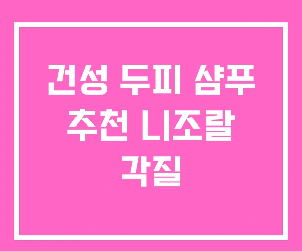 건성 두피 샴푸 추천 니조랄 각질 건성 두피 샴푸 추천 니조랄 각질