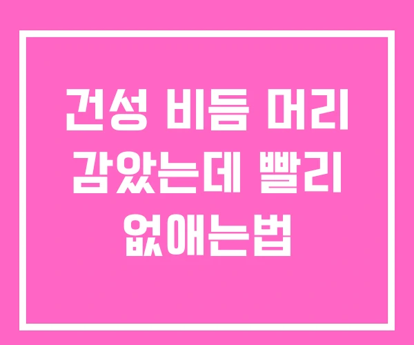 건성 비듬 머리 감았는데 빨리 없애는법 건성 비듬 머리 감았는데 빨리 없애는법