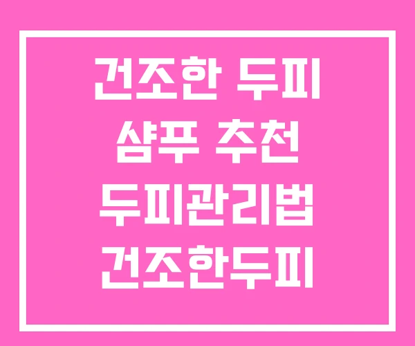 건조한 두피 샴푸 추천 두피관리법 건조한두피 건조한 두피 샴푸 추천 두피관리법 건조한두피