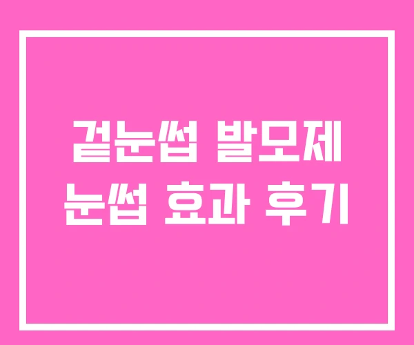 겉눈썹 발모제 눈썹 효과 후기