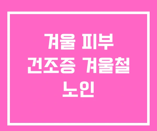 겨울 피부 건조증 겨울철 노인