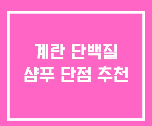 계란 단백질 샴푸 단점 추천 계란 단백질 샴푸 단점 추천