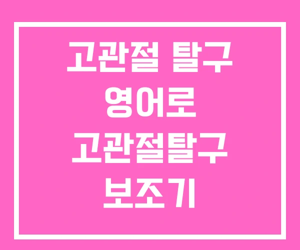 고관절 탈구 영어로 고관절탈구 보조기 고관절 탈구 영어로 고관절탈구 보조기