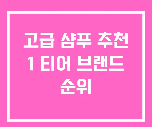 고급 샴푸 추천 1 티어 브랜드 순위