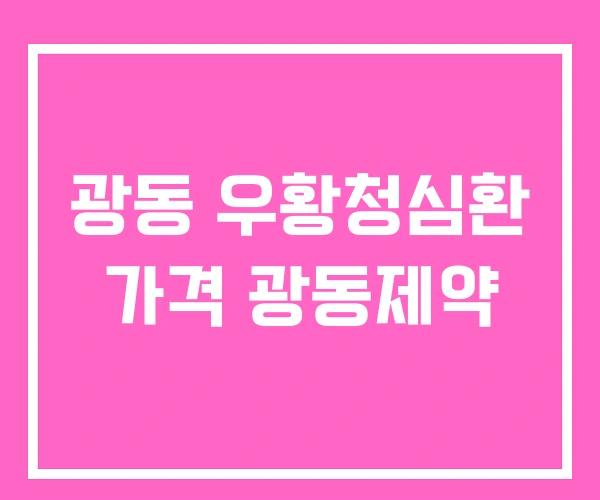 광동 우황청심환 가격 광동제약 광동 우황청심환 가격 광동제약