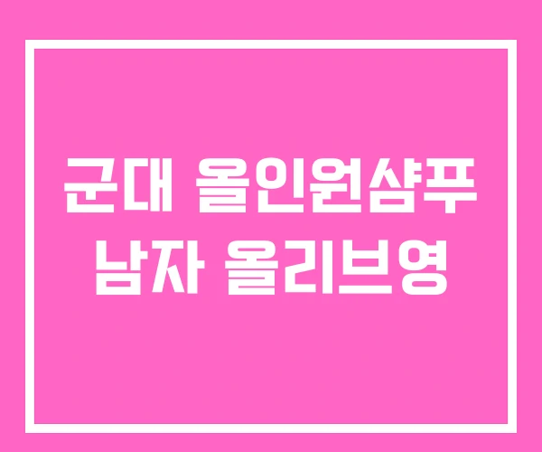 군대 올인원샴푸 남자 올리브영