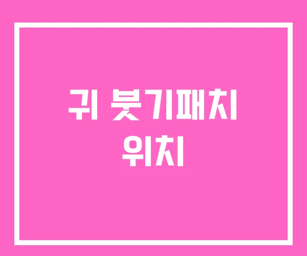 귀 붓기패치 위치