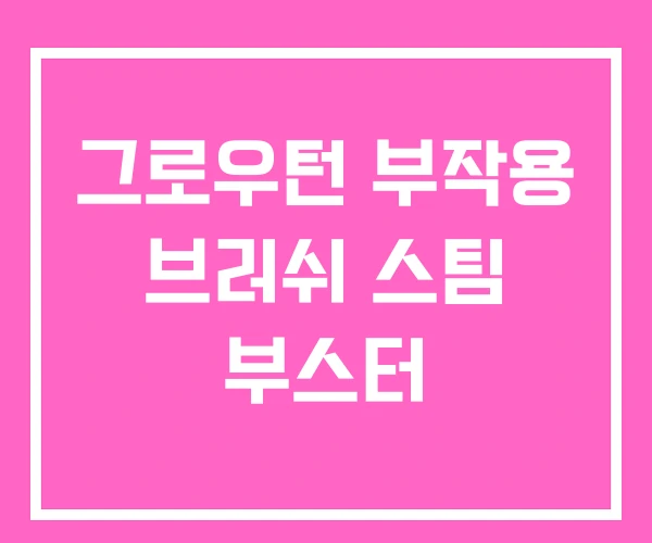 그로우턴 부작용 브러쉬 스팀 부스터