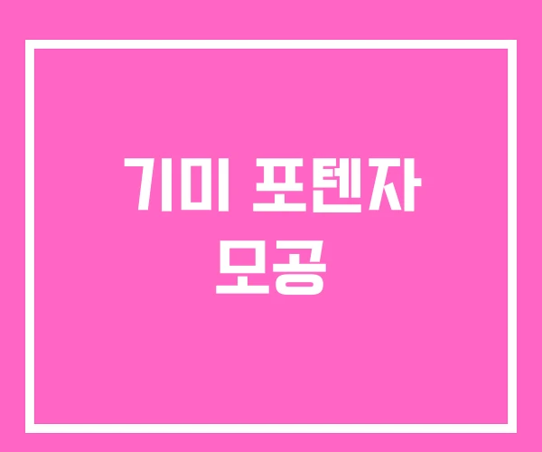 기미 포텐자 모공