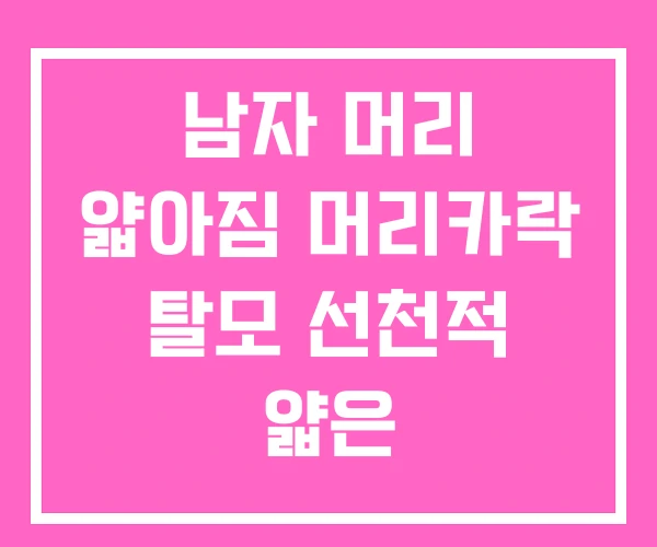 남자 머리 얇아짐 머리카락 탈모 선천적 얇은 남자 머리 얇아짐 머리카락 탈모 선천적 얇은