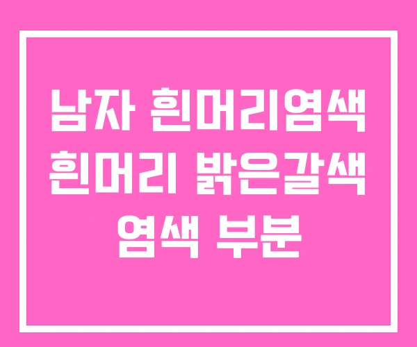 남자 흰머리염색 흰머리 밝은갈색 염색 부분 남자 흰머리염색 흰머리 밝은갈색 염색 부분