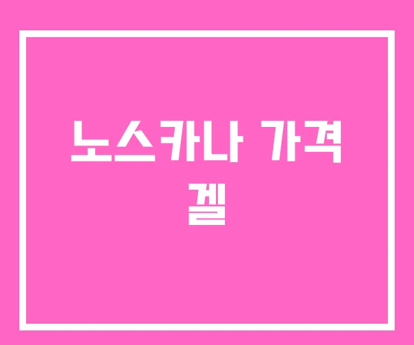 노스카나 가격 겔