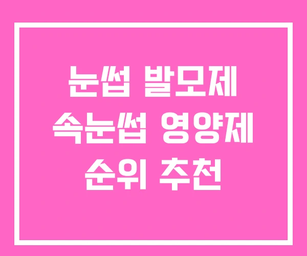 눈썹 발모제 속눈썹 영양제 순위 추천
