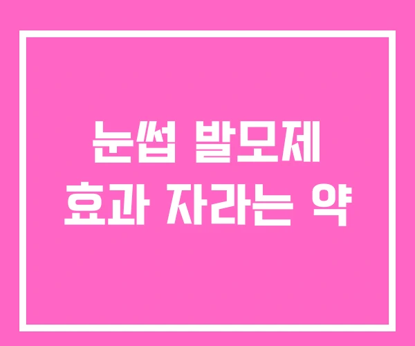 눈썹 발모제 효과 자라는 약