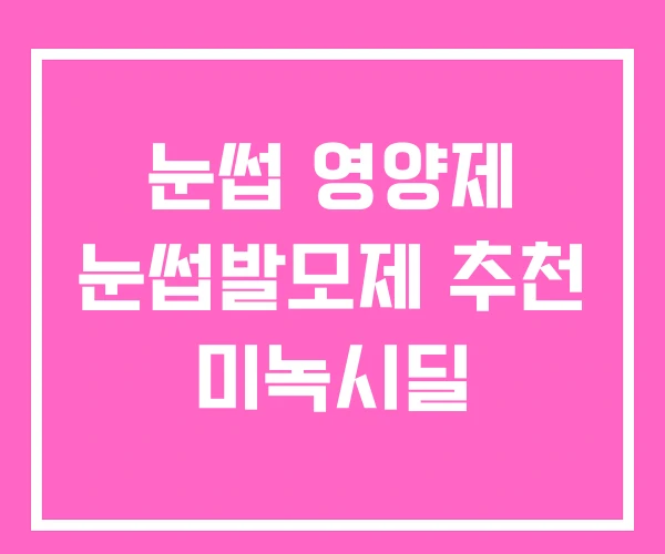 눈썹 영양제 눈썹발모제 추천 미녹시딜