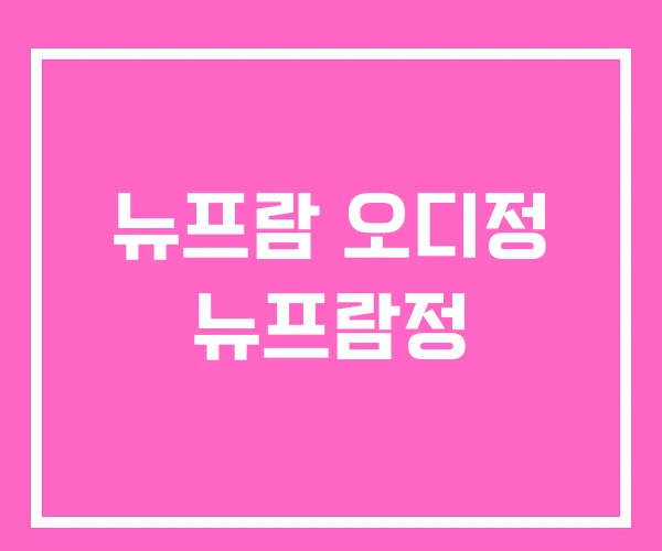 뉴프람 오디정 뉴프람정