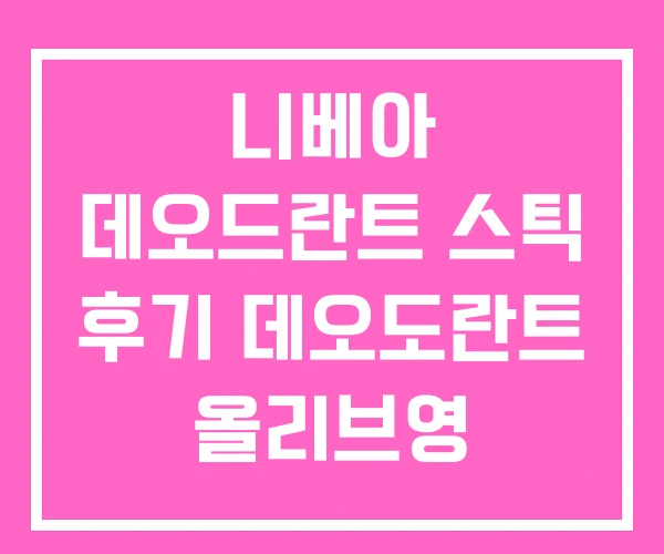 니베아 데오드란트 스틱 후기 데오도란트 올리브영 니베아 데오드란트 스틱 후기 데오도란트 올리브영