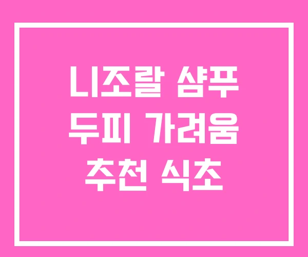 니조랄 샴푸 두피 가려움 추천 식초