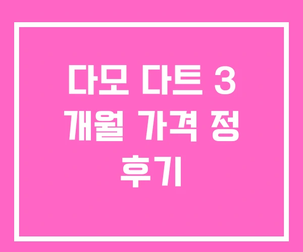 다모 다트 3 개월 가격 정 후기