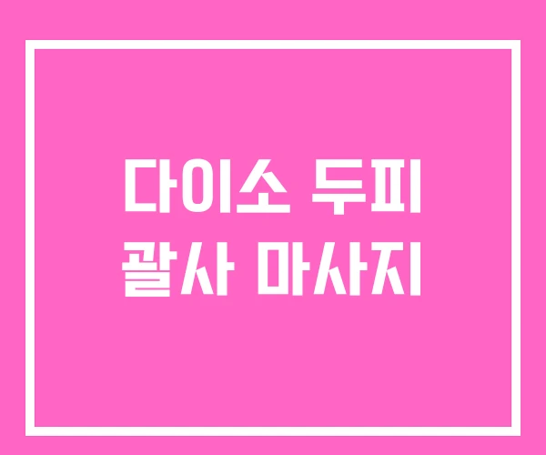 다이소 두피 괄사 마사지