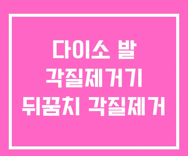 다이소 발 각질제거기 뒤꿈치 각질제거