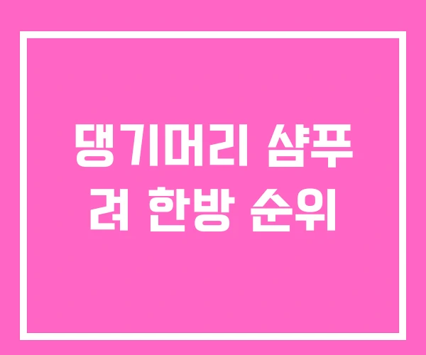 댕기머리 샴푸 려 한방 순위