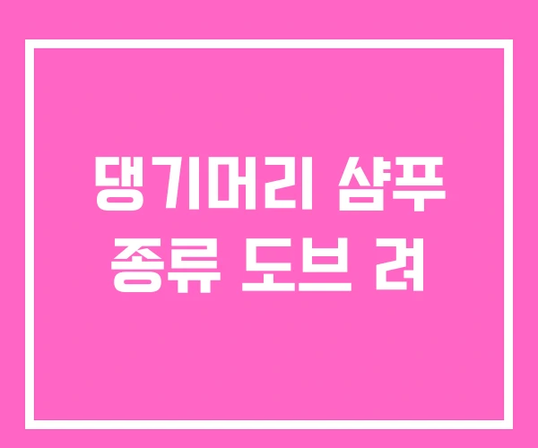 댕기머리 샴푸 종류 도브 려 댕기머리 샴푸 종류 도브 려