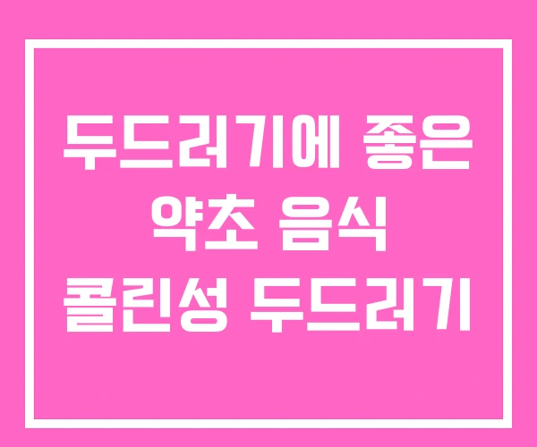 두드러기에 좋은 약초 음식 콜린성 두드러기 두드러기에 좋은 약초 음식 콜린성 두드러기